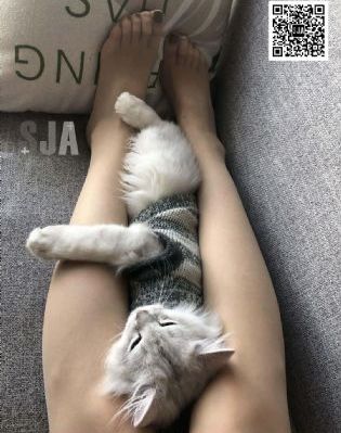 欧美人本艺术_BD英语在线观看