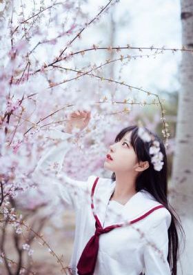 国产纯植物的护肤品有哪些品牌_4K高清视频观看
